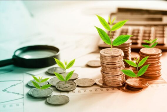 Financial Planning mackay - Plants sprouting from coins to indicate growing wealth